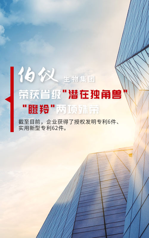 意昂体育集团荣获省级“潜在独角兽”“瞪羚”两项殊荣