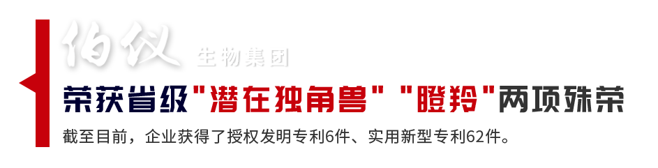 8801715764088471.png 2.1.png
